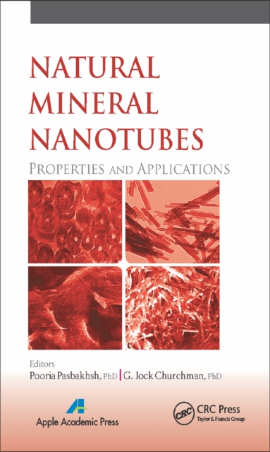 Natural Mineral Nanotubes : Properties and Applications, PDF eBook