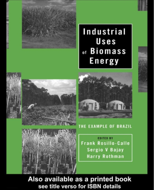 Industrial Uses of Biomass Energy : The Example of Brazil, PDF eBook