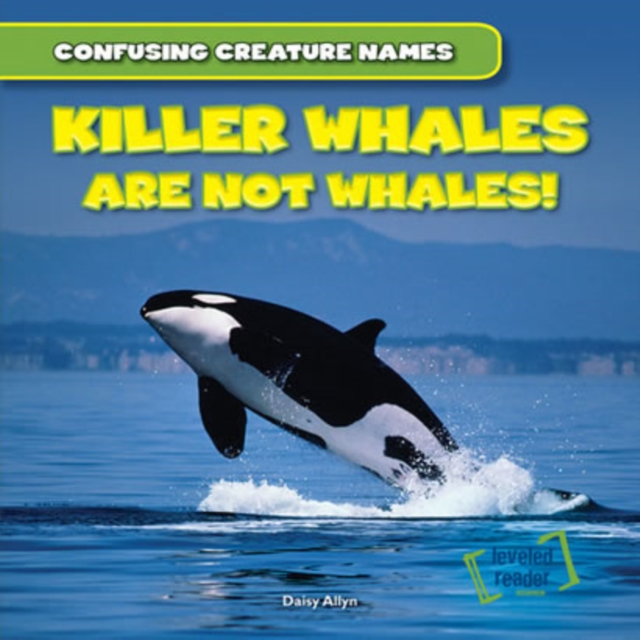 Killer Whales Are Not Whales!, PDF eBook