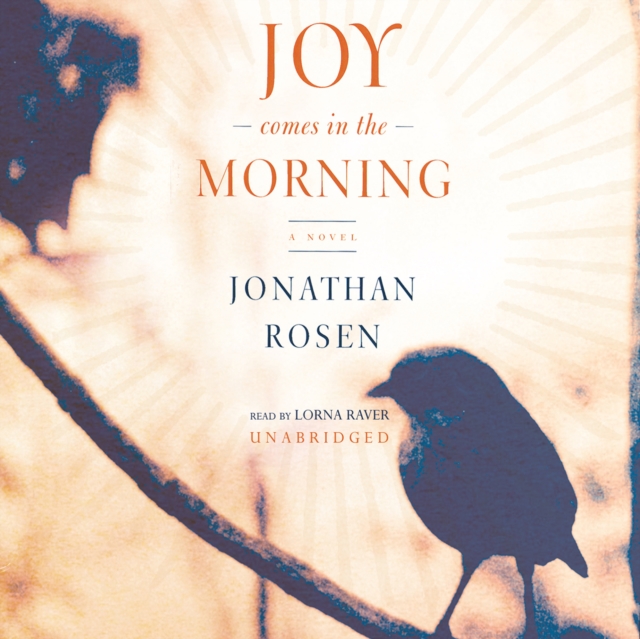 Joy Comes in the Morning, eAudiobook MP3 eaudioBook