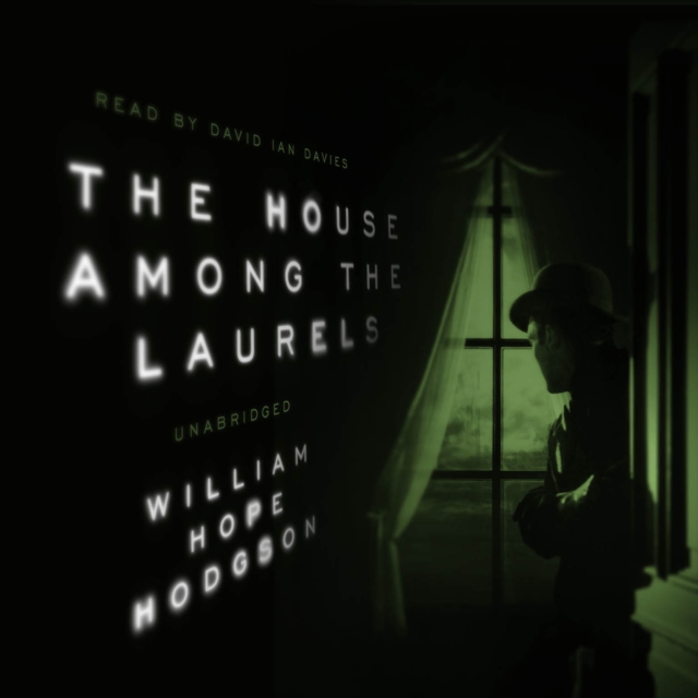The House among the Laurels, eAudiobook MP3 eaudioBook