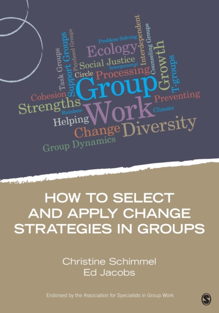 How to Select and Apply Change Strategies in Groups, Paperback / softback Book