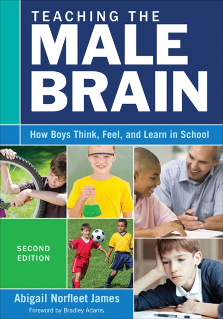 Teaching the Male Brain : How Boys Think, Feel, and Learn in School, PDF eBook