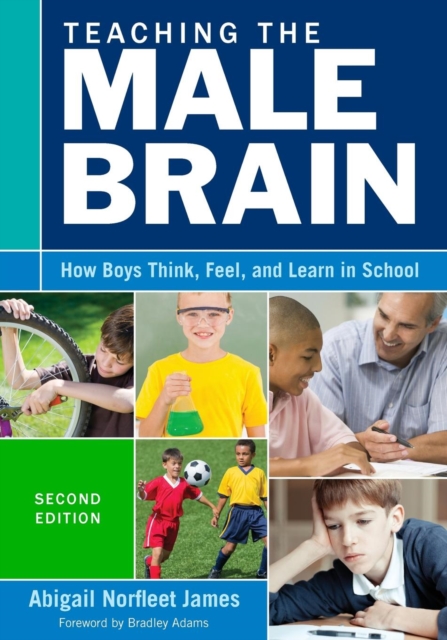 Teaching the Male Brain : How Boys Think, Feel, and Learn in School, Paperback / softback Book