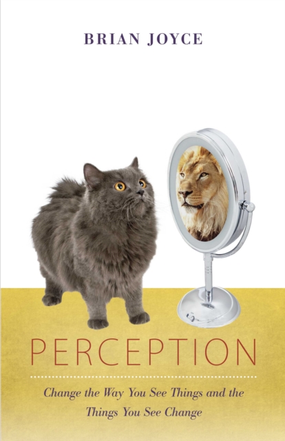 Perception : Change the Way You See Things and the Things You See Change, EPUB eBook