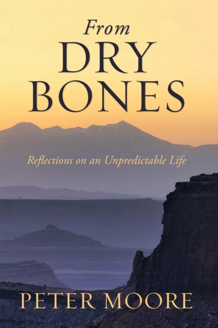 From Dry Bones : Reflections on an Unpredictable Life, EPUB eBook