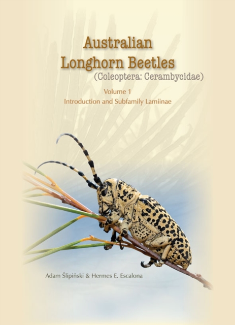 Australian Longhorn Beetles : (Coleoptera: Cerambycidae) Volume 1, Hardback Book