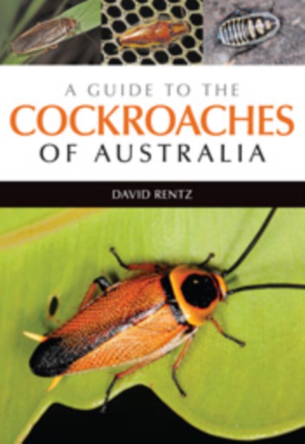A Guide to the Cockroaches of Australia, EPUB eBook