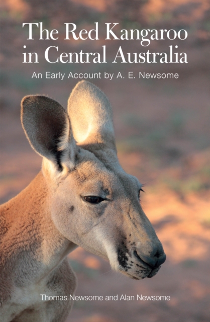 The Red Kangaroo in Central Australia : An Early Account by A.E. Newsome, Paperback / softback Book