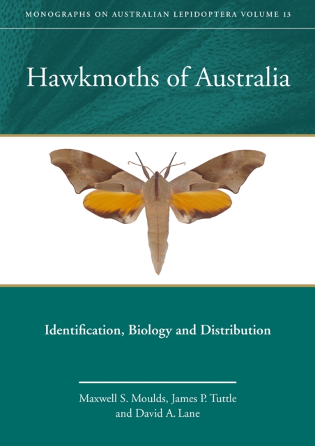 Hawkmoths of Australia : Identification, Biology and Distribution, EPUB eBook