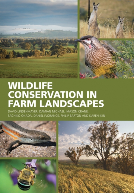 Wildlife Conservation in Farm Landscapes, Paperback / softback Book