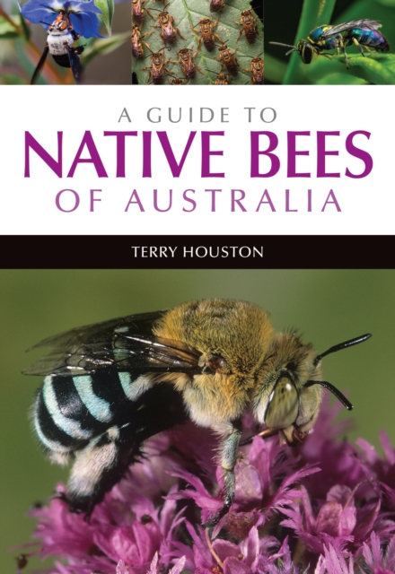 A Guide to Native Bees of Australia, Paperback / softback Book