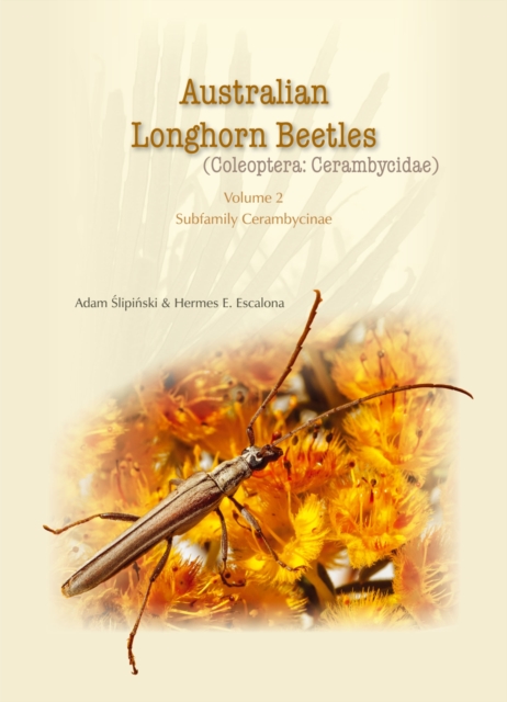 Australian Longhorn Beetles : (Coleoptera: Cerambycidae) Volume 2, Hardback Book