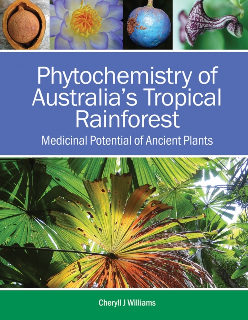 Phytochemistry of Australia's Tropical Rainforest : Medicinal Potential of Ancient Plants, EPUB eBook