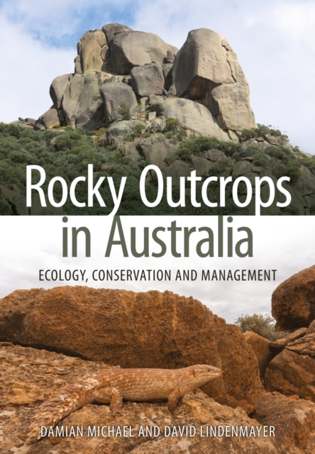 Rocky Outcrops in Australia : Ecology, Conservation and Management, Paperback / softback Book