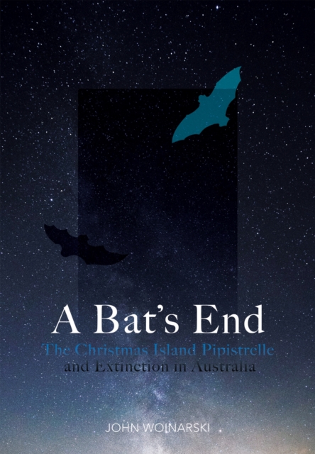 A Bat’s End : The Christmas Island Pipistrelle and Extinction in Australia, Paperback / softback Book