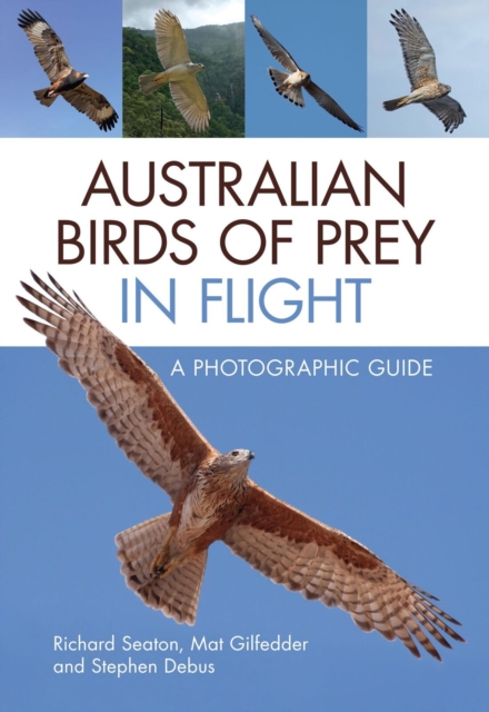Australian Birds of Prey in Flight : A Photographic Guide, Paperback / softback Book