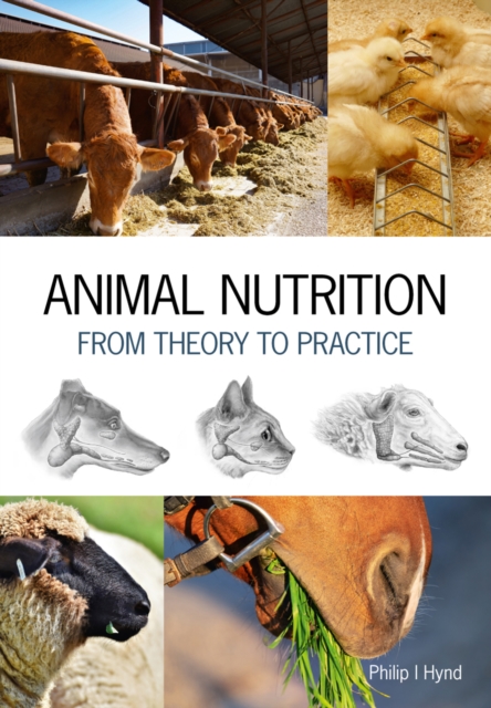 Animal Nutrition : From Theory to Practice, EPUB eBook