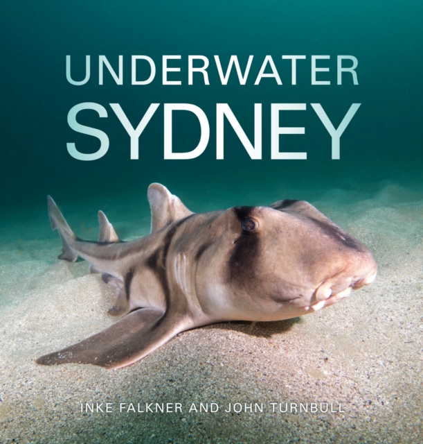 Underwater Sydney, Paperback / softback Book