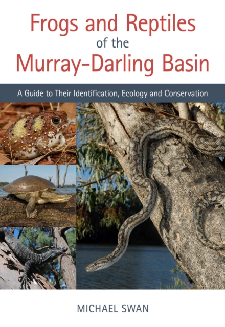 Frogs and Reptiles of the Murray-Darling Basin : A Guide to Their Identification, Ecology and Conservation, Paperback / softback Book