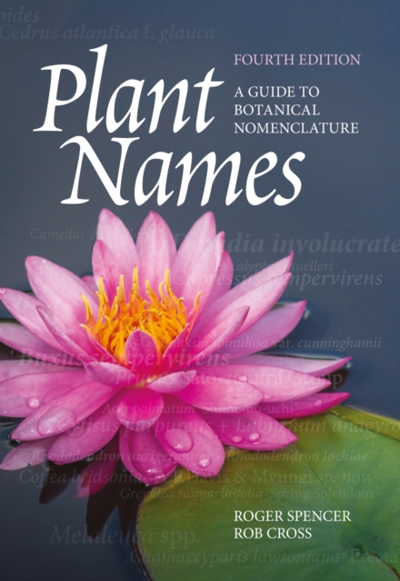 Plant Names : A Guide to Botanical Nomenclature, Paperback / softback Book