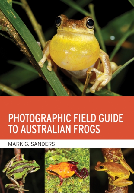 Photographic Field Guide to Australian Frogs, Paperback / softback Book