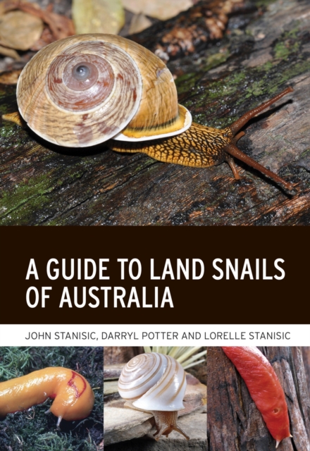 A Guide to Land Snails of Australia, Paperback / softback Book