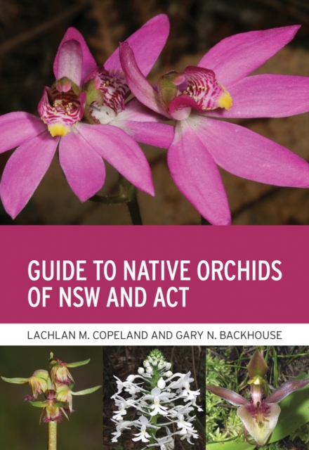 Guide to Native Orchids of NSW and ACT, Paperback / softback Book