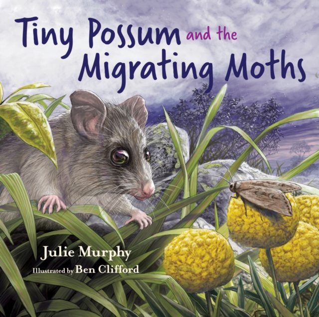 Tiny Possum and the Migrating Moths, Hardback Book