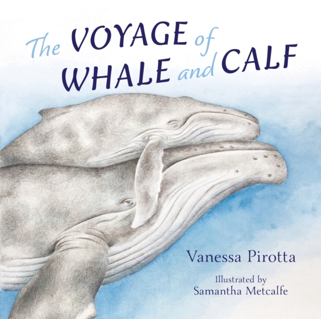 The Voyage of Whale and Calf, Hardback Book