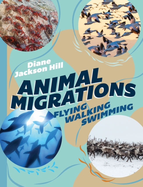 Animal Migrations : Flying, Walking, Swimming, Hardback Book