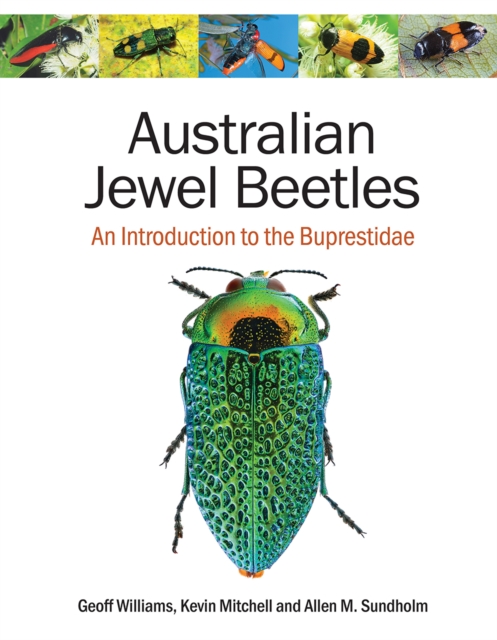 Australian Jewel Beetles : An Introduction to the Buprestidae, EPUB eBook