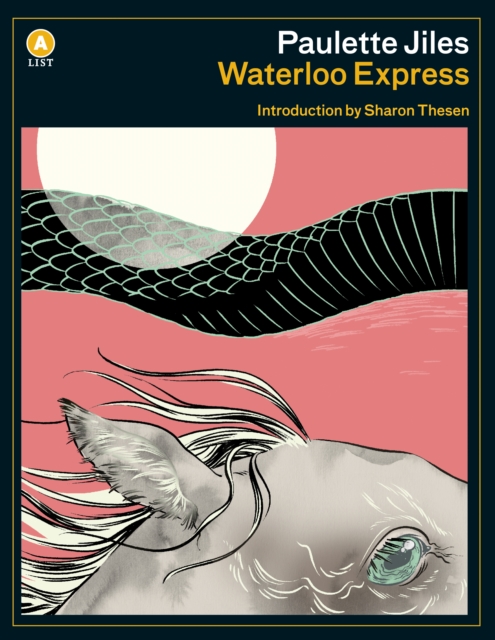 Waterloo Express, Paperback / softback Book