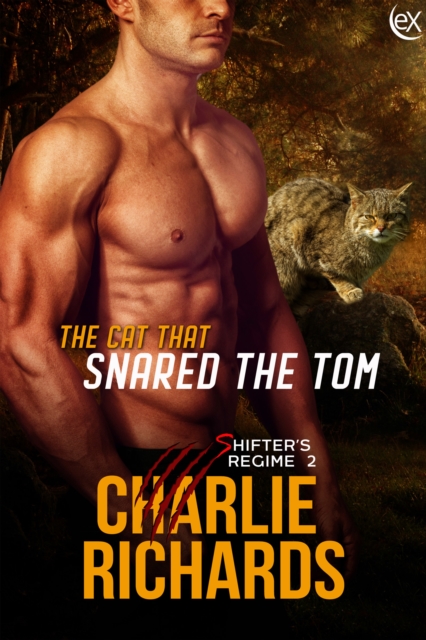 Cat that Snared the Tom, EPUB eBook