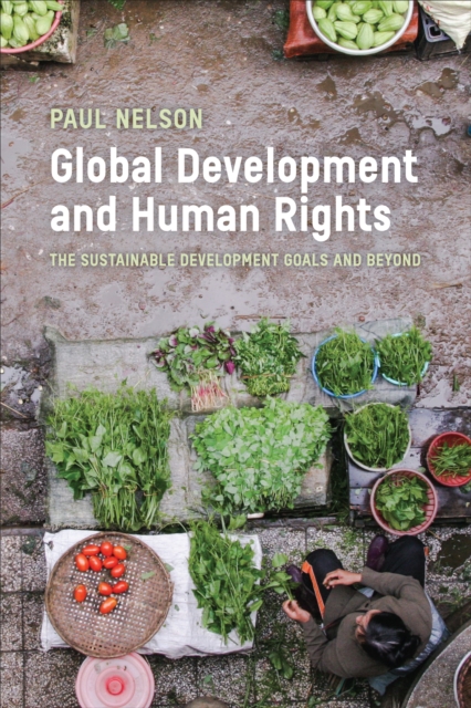 Global Development and Human Rights : The Sustainable Development Goals and Beyond, PDF eBook