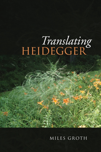 Translating Heidegger, PDF eBook