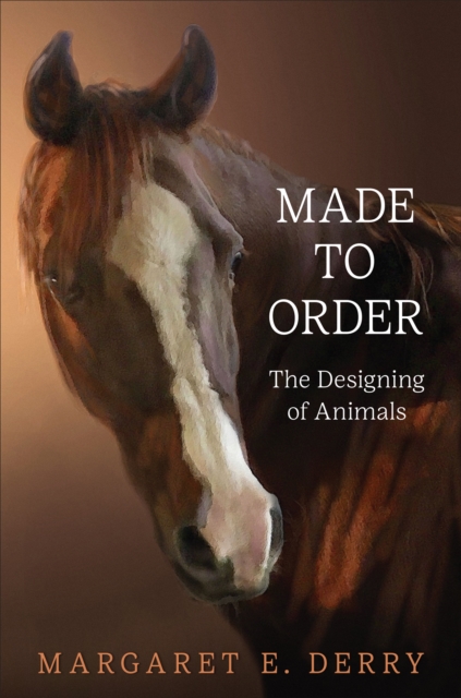 Made to Order : The Designing of Animals, Hardback Book