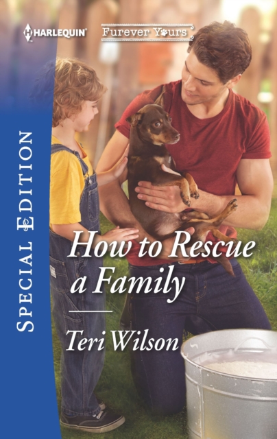 How to Rescue a Family, EPUB eBook