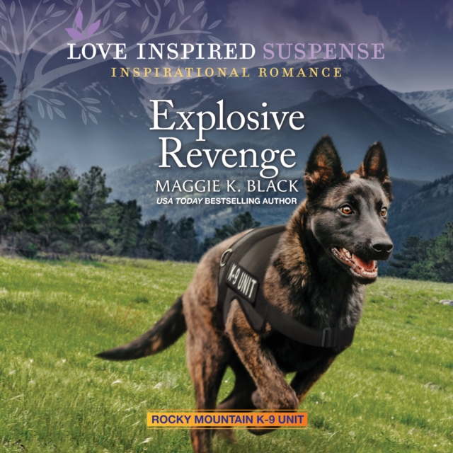 Explosive Revenge, eAudiobook MP3 eaudioBook