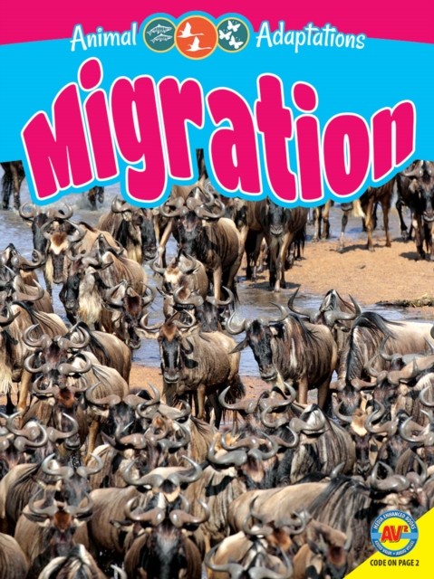 Migration, PDF eBook