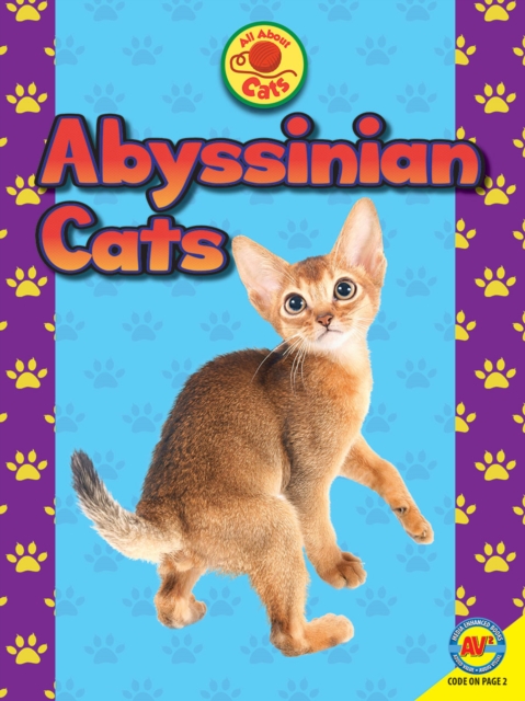 Abyssinian Cats, PDF eBook