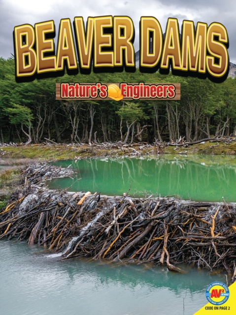 Beaver Dams, PDF eBook