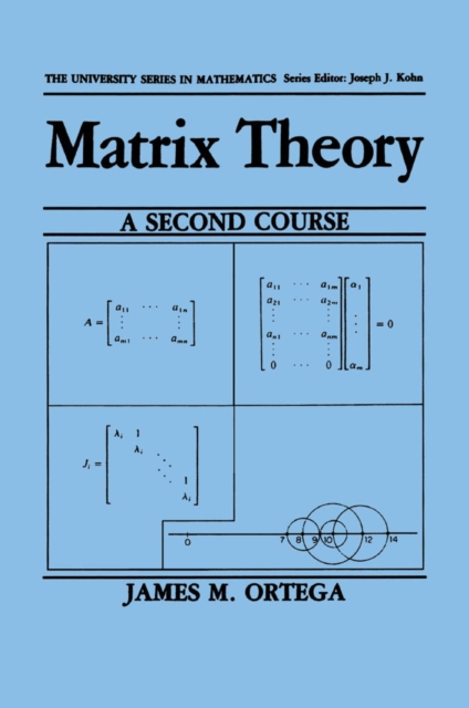 Matrix Theory: A Second Course, PDF eBook