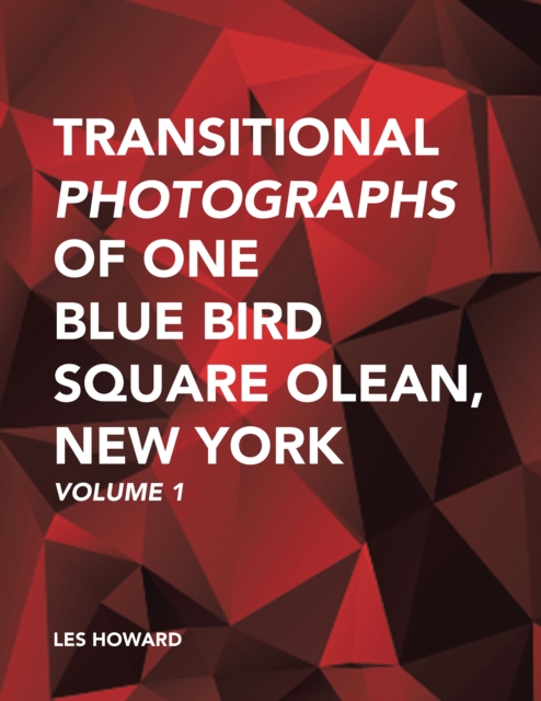 Transitional Photographs of One Blue Bird Square Olean, New York : Volume 1, EPUB eBook