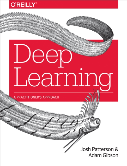 Deep Learning : A Practitioner's Approach, PDF eBook