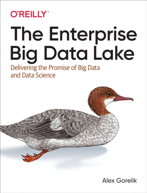 The Enterprise Big Data Lake : Delivering the Promise of Big Data and Data Science, EPUB eBook