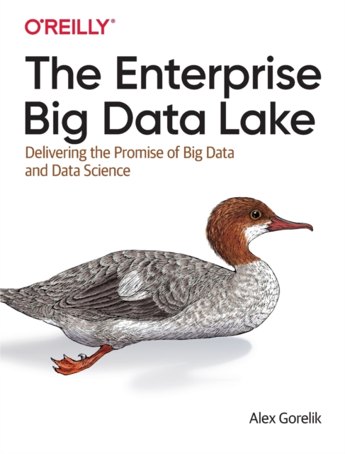 The Enterprise Big Data Lake : Delivering the Promise of Big Data and Data Science, Paperback / softback Book