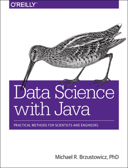 Data Science with Java, Paperback / softback Book