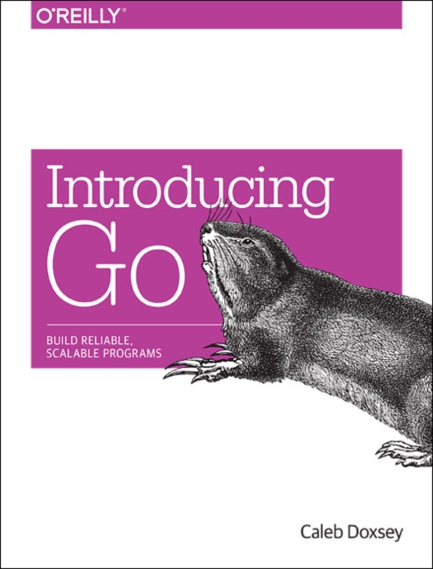 Introducing Go, Paperback / softback Book