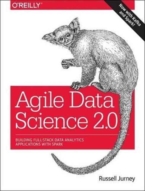 Agile Data Science 2.0 : Building Full-Stack Data Analytics Applications with Spark, Paperback / softback Book